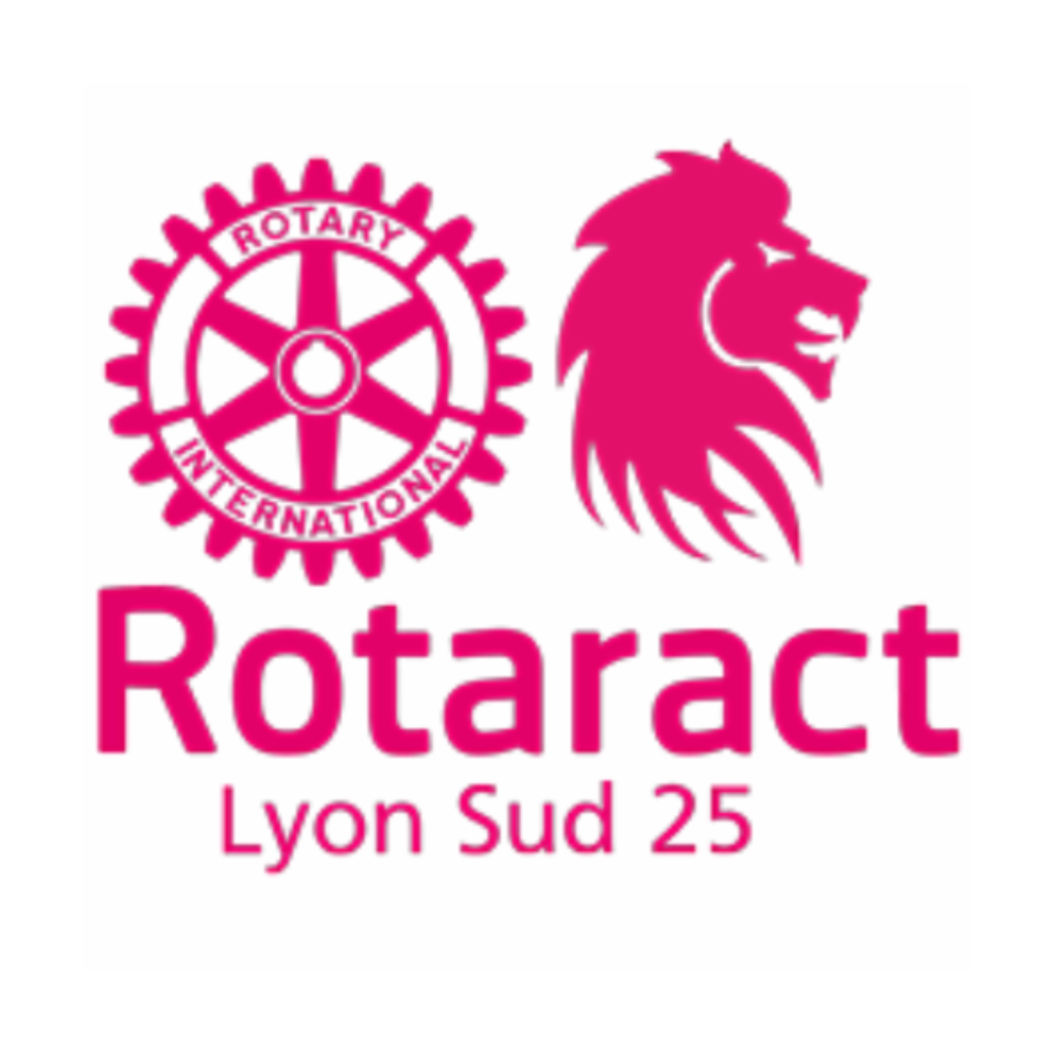 logo-rotaract-lyon-sud-25